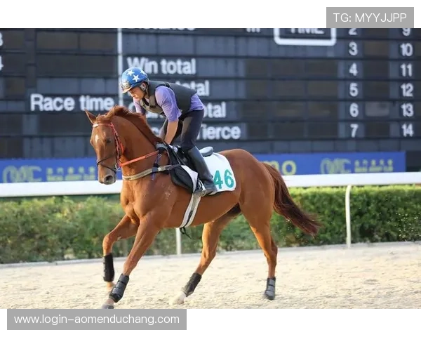 澳门赛马今天的赛事预告与明日比赛精彩预告