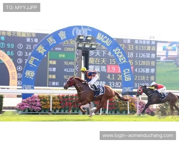 澳门赛马的投注技巧与投注技巧，助你在赛场上赢得更多胜利